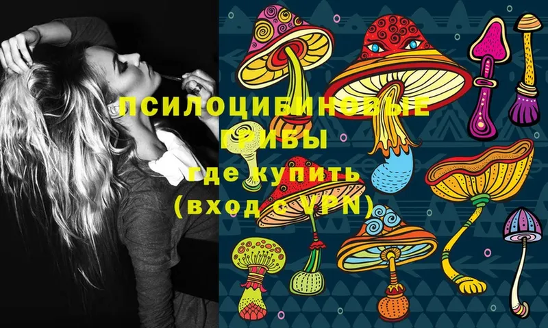 OMG вход  как найти закладки  Лангепас  Псилоцибиновые грибы Magic Shrooms 